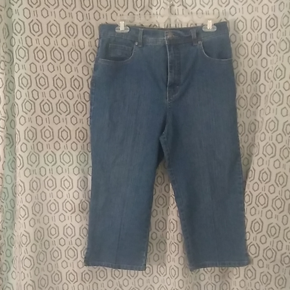 2 pair,Gloria Vanderbilt size 10, Chaps size 10
